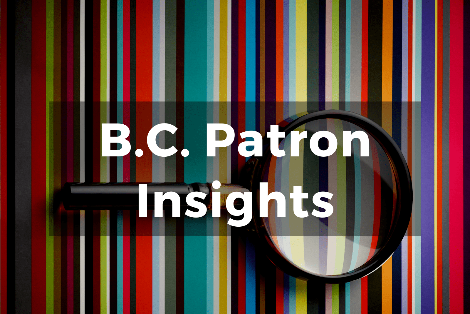 BC Patron Insights