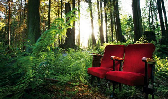 Theatre seats in a forest